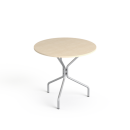 SV-95 brzoza srebrny.png