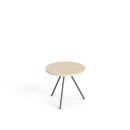 SV-96 brzoza polarna.jpg