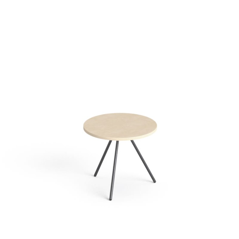 SV-96 brzoza polarna.jpg