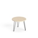 SV-97 brzoza polarna.jpg