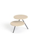 SV-98 brzoza polarna.jpg