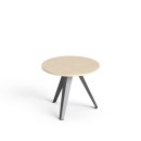 SV-99 brzoza polarna.jpg