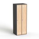 SV-310 grafir dąb.jpg