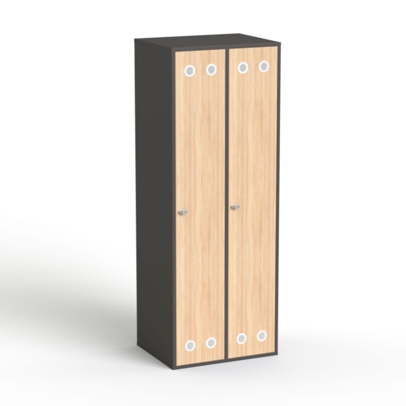 SV-310 grafir dąb.jpg