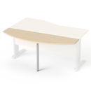 SV 50 brzoza2.png