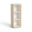 SV 08 brzoza.png