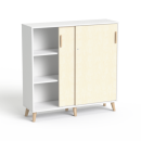 SV-13 biały brzoza.png