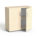 SV 10 brzoza brzoza.png