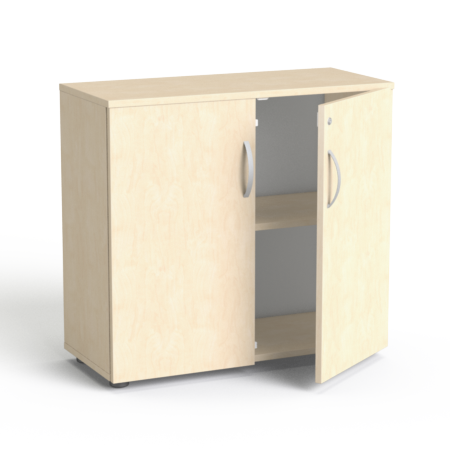 SV 10 brzoza brzoza.png