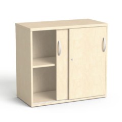 SV-16 M brzoza polarna