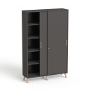 SV-101 ND grafit.jpg