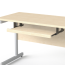 SV-62 brzoza2.png