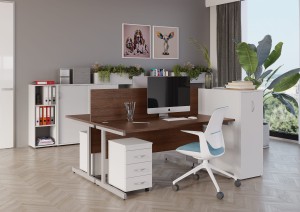 Zestaw do biura dla dwojga