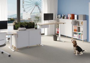 Zestaw z elektrycznymi biurkami