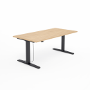 SKY-3 czarny dąb.png