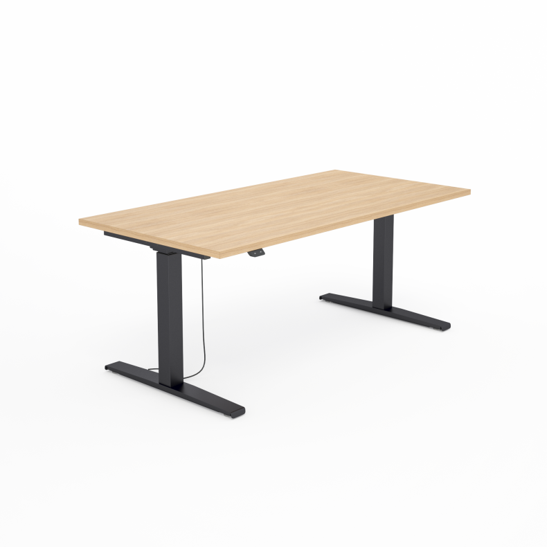 SKY-3 czarny dąb.png