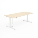 SV-304 biały brzoza.jpg