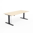 SV-304 czarny brzoza.jpg