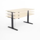 SV_czarny brzoza 3 poziomy.jpg