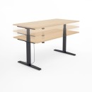 SV_czarny dąb 3 poziomy.jpg