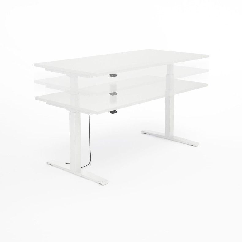 SV_biały biały 3 poziomy.jpg