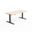 SV-303 czarny brzoza.jpg