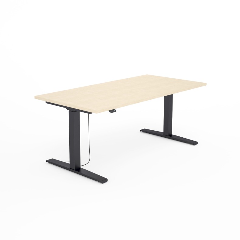 SV-303 czarny brzoza.jpg