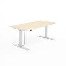 SV-303 srebrny brzoza.jpg