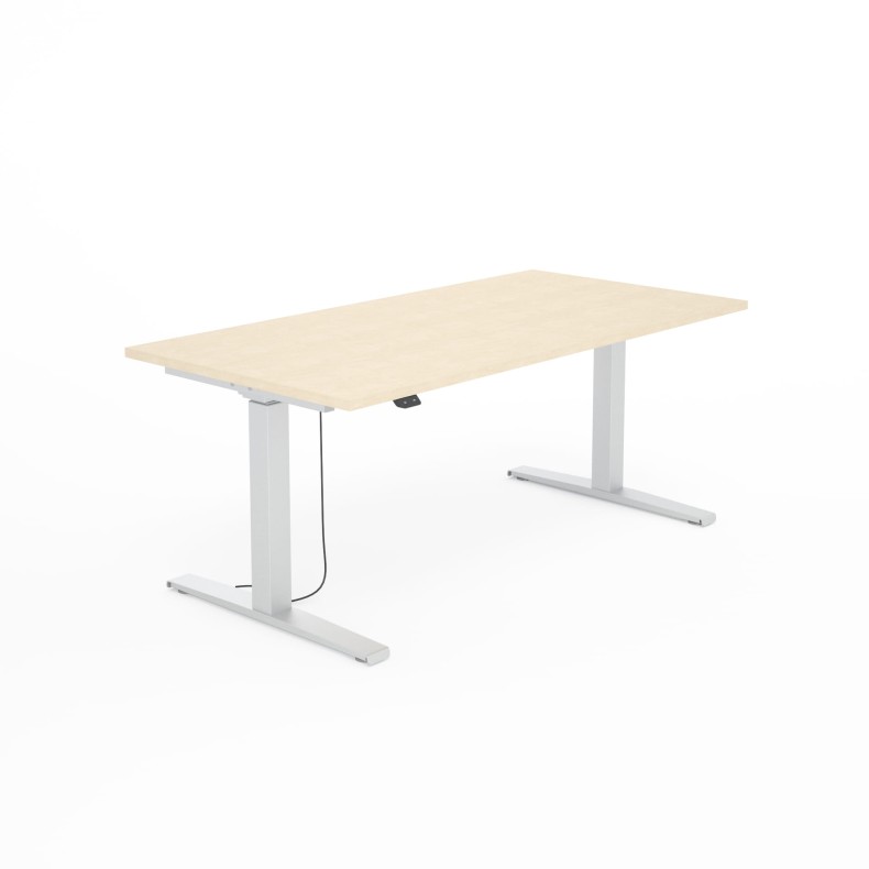 SV-303 srebrny brzoza.jpg