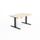 SV-301 czarny brzoza.jpg