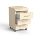 SV 18 brzoza brzoza.jpg