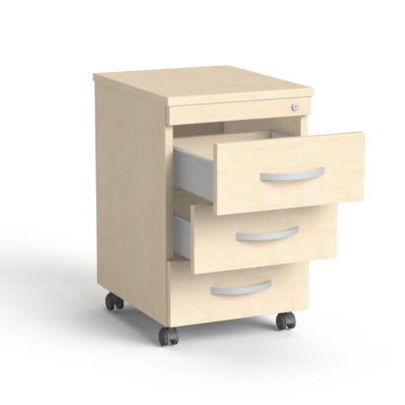 SV 18 brzoza brzoza.jpg